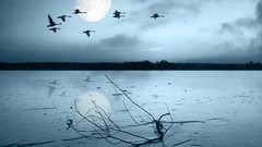 Sunset nature one x htc one x