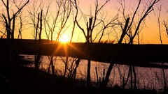 Sunset nature Wilson Kansas