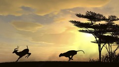 Sunset night deer jungle Africa silhouettes cheetahs chasing a 