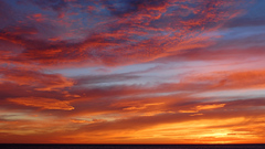 Sunset ocean Sea Beaches