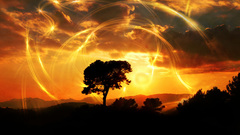 Sunset Photomanipulation alone tree