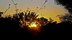 Sunset Portugal Cameras Orange Sun