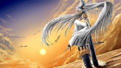 Sunset red eyes white