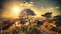 Sunset roads israel skies Roy haifa viewscape royba