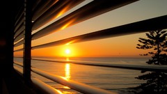 Sunset Sea nature Trees Beaches window blinds