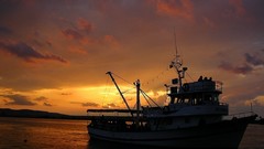 Sunset ships Bulgaria Turist