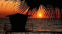 Sunset Station Florida silhouettes Beaches palm leaves
