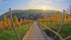 Sunset switzerland vineyard castle
