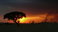 Sunset Tanzania