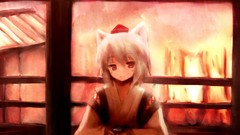Sunset touhou animal ears