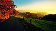 Sunset Trees grass asphalt roads