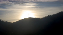 Sunset Trees Portugal foz
