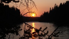 Sunset Trees Yellowstone National Park reflections rivers 