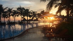 Sunset tropical sunlight palm