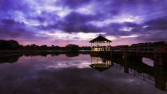 Sunset Violet Singapore kaydone