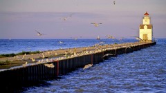 Sunset Wisconsin seagulls lighthouses