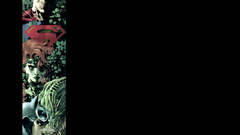 Superman superheroes Catwoman Poison