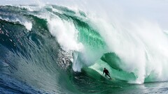 surfing waves Men Sea water Sport Sports surfers Green blue