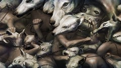Surrealism Dogs surreal artwork ryohei hase
