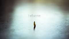 Survive