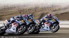 Suzuki vehicles motorbikes