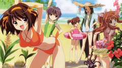 Suzumiya haruhi groups the