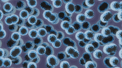 Swarm by monkeyspoon