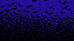 Swarm Mammals bats night