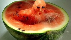 Swimming watermelons fruits pictorial food art