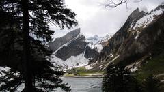 Switzerland Alps seealpsee high