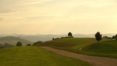Switzerland Guess few freudenberg toss
