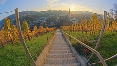 Switzerland vineyard castle