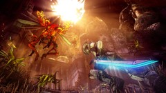 Swords borderlands 2 Zer0