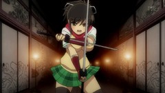 Swords Senran Kagura