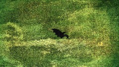 Symbols magic: the gathering shadowmoor