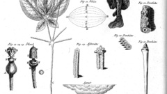 Table of natural History