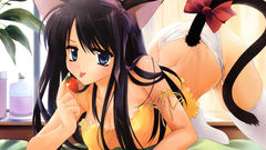 Tails blue eyes nekomimi