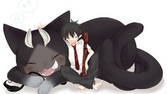 Tails cats Animals school