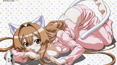 Tails nekomimi animal ears