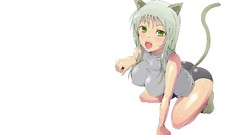 Tails nekomimi pixiv anime