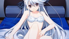 Tails panties beds bra