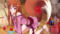 Tails spice and wolf