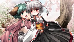 Tails touhou cherry blossoms