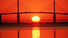 Tampa bay charleston Florida