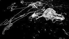 Tattoos brunettes Katie St. Ives