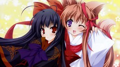 Tayutama anime girls