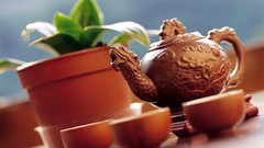 Tea widescreen yixing teapot gong fu cha