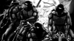 Teenage Mutant Ninja Turtles