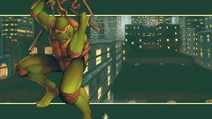 Teenage Mutant Ninja Turtles