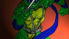 Teenage mutant ninja turtles